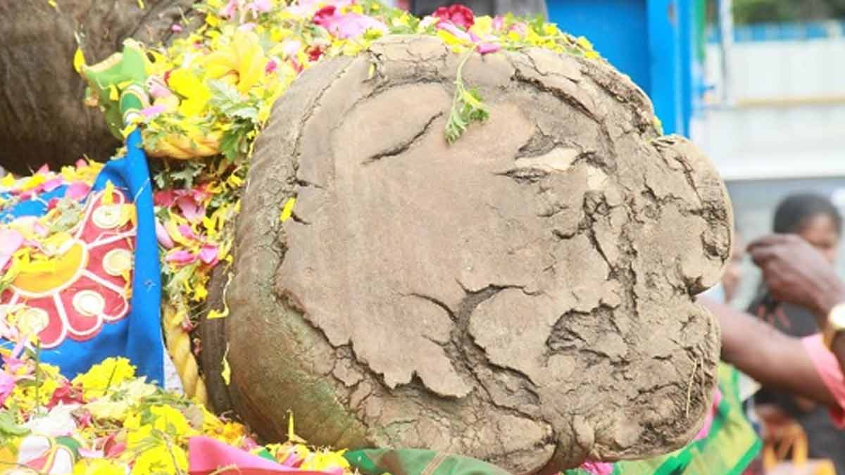 Gandhimati elephant passedaway-screaming devotees