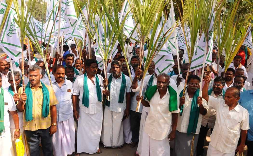chennai egmore sugar cane farmers rate fixed issue