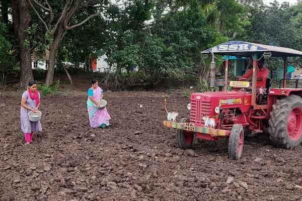Farmers intensify samba paddy sowing work due to Mettur water opening ..