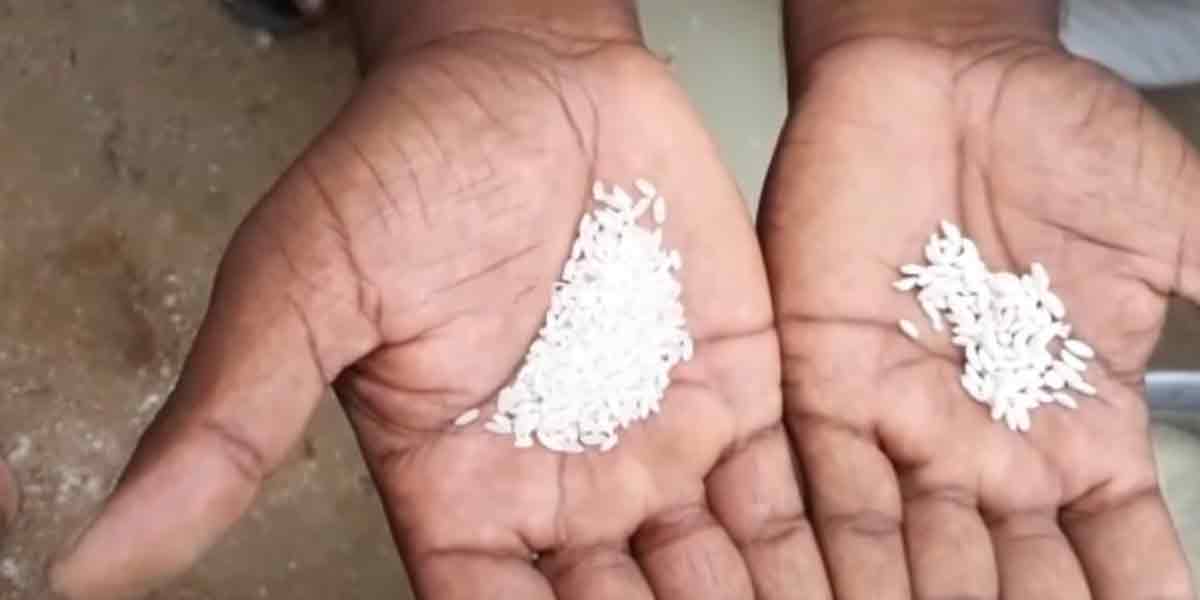 Plastic rice in government food ... shocked villagers!