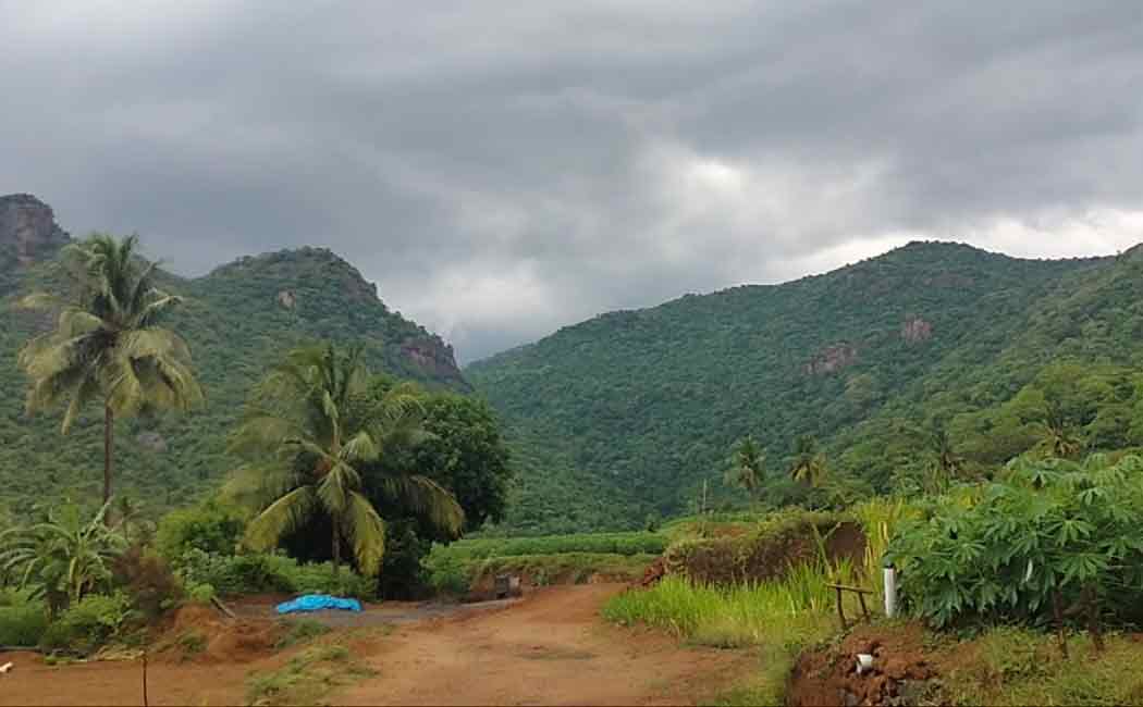 People who informed the forest department