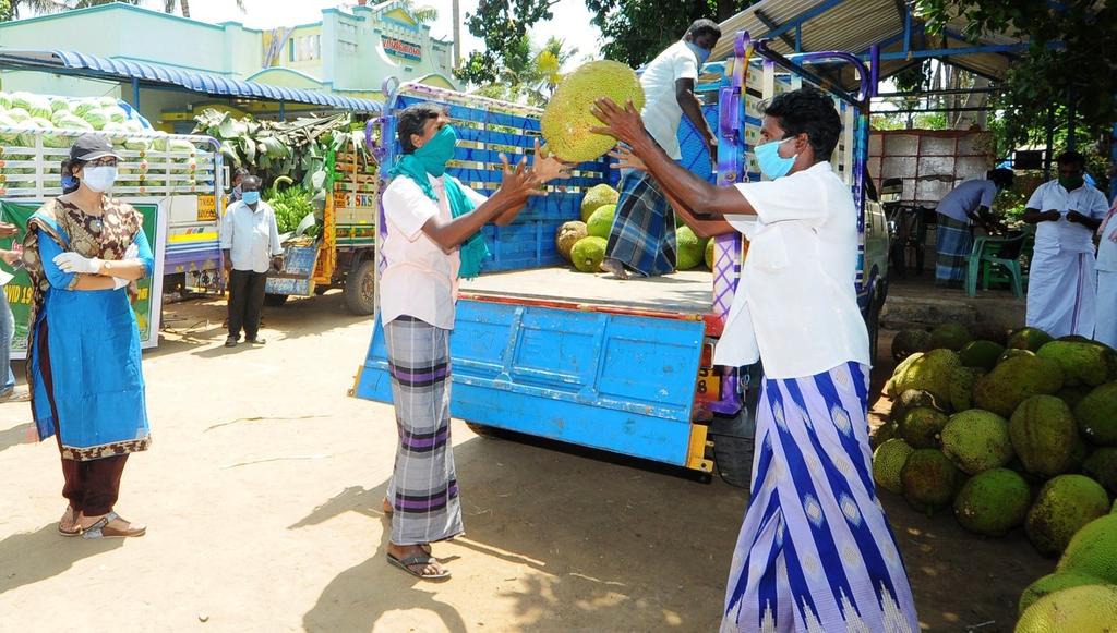 Pudukkottai District Collector Description