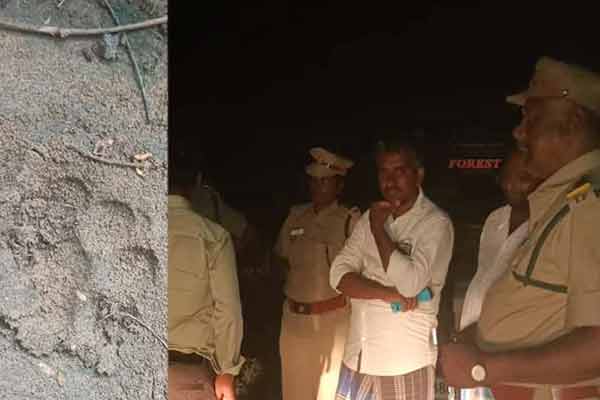 karur goat incident unknown animal
