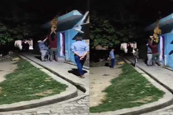 husband hangs wife upside down from roof in UP