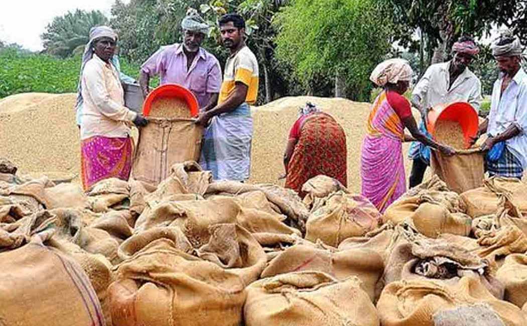 Incentive amount with minimum supportive price for paddy Chief Minister M. K. Stalin's order