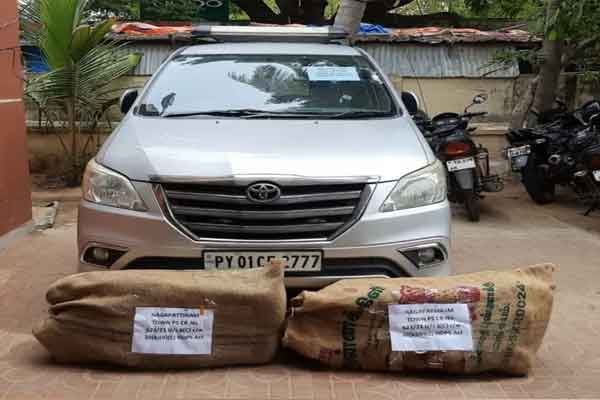 The gang who planned to smuggle cannabiss in Sami movie ..! Kidnappers caught by police ..!