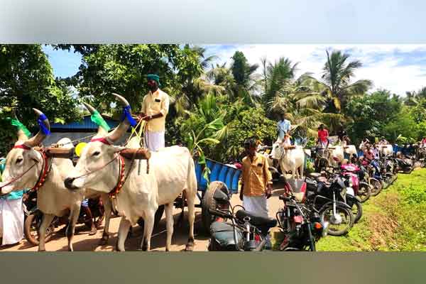 puthukottai person use tradition way in his family function
