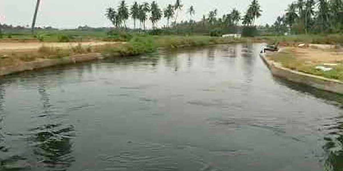 Old lady jumping into Kalingarayan canal