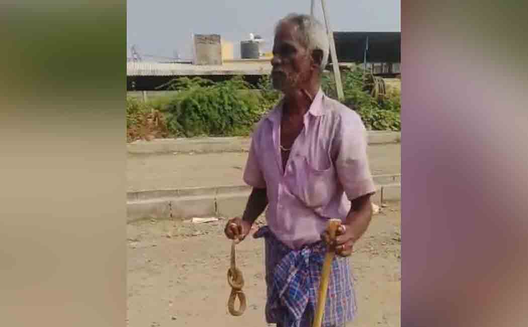 The old man who caught snake dead!
