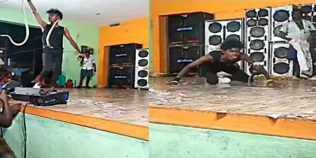 Snake dance in festival dance performance; Youth arrested