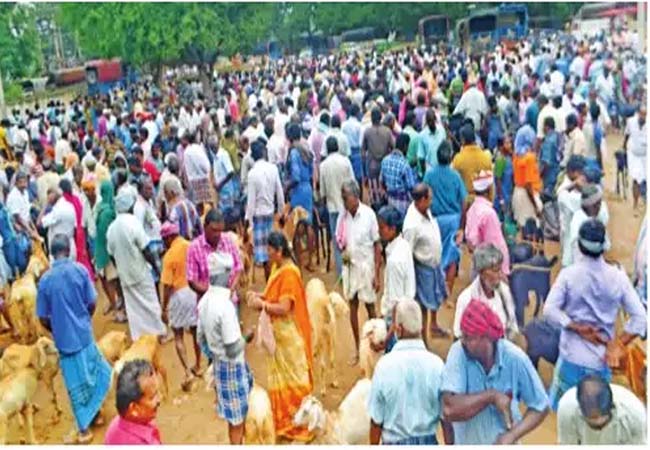 salem Market place; 3.25 crore goats, chickens and vegetables sold peoples