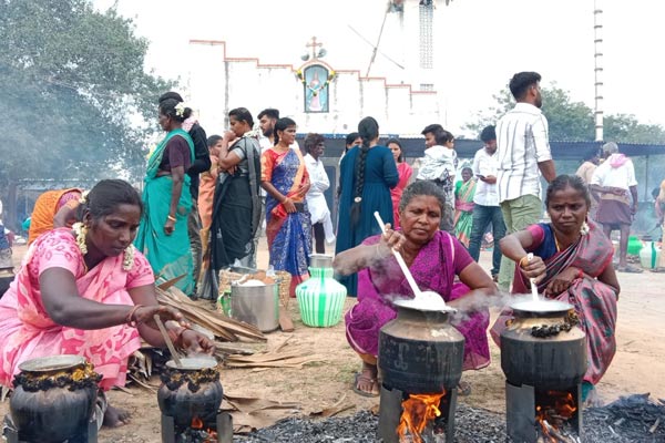 Case filed against 12 people for untying jallikattu bulls in Pudukkottai