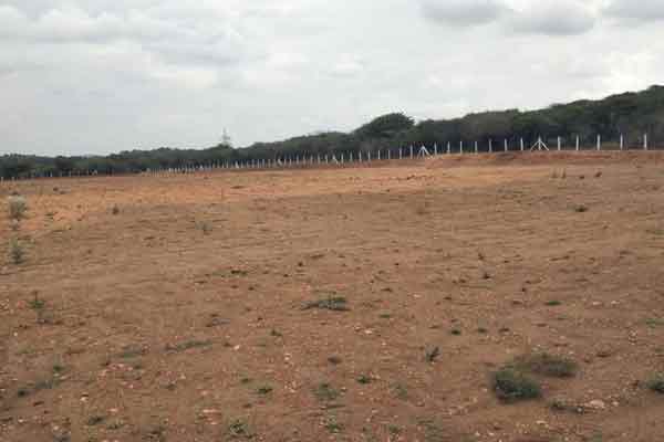 Fake deed of government land; Loot Minerals!