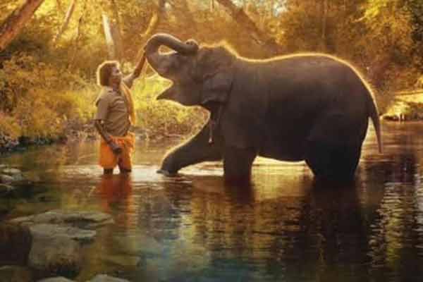 Oscar winning 'The Elephant Whispers' - Chief Minister M.K.Stal's greetings
