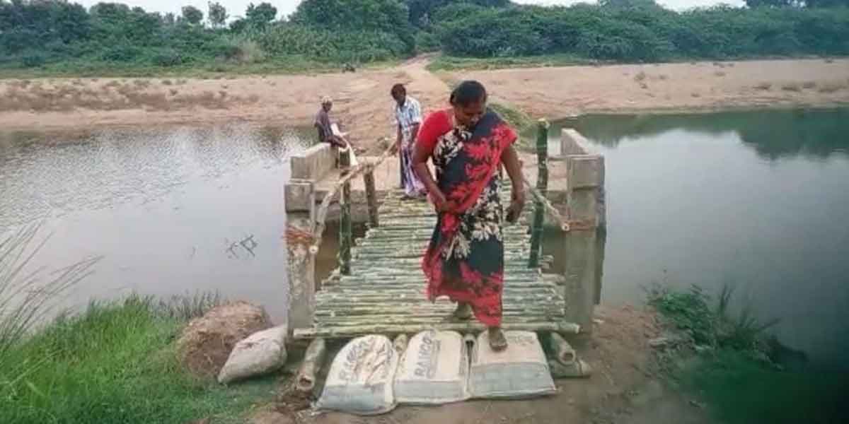 Bridge swept away in the river - the misery of crossing with bamboo!
