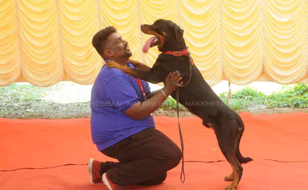 pet and dog show in chennai nandanam ymca ground