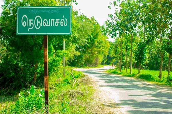 neduvasal