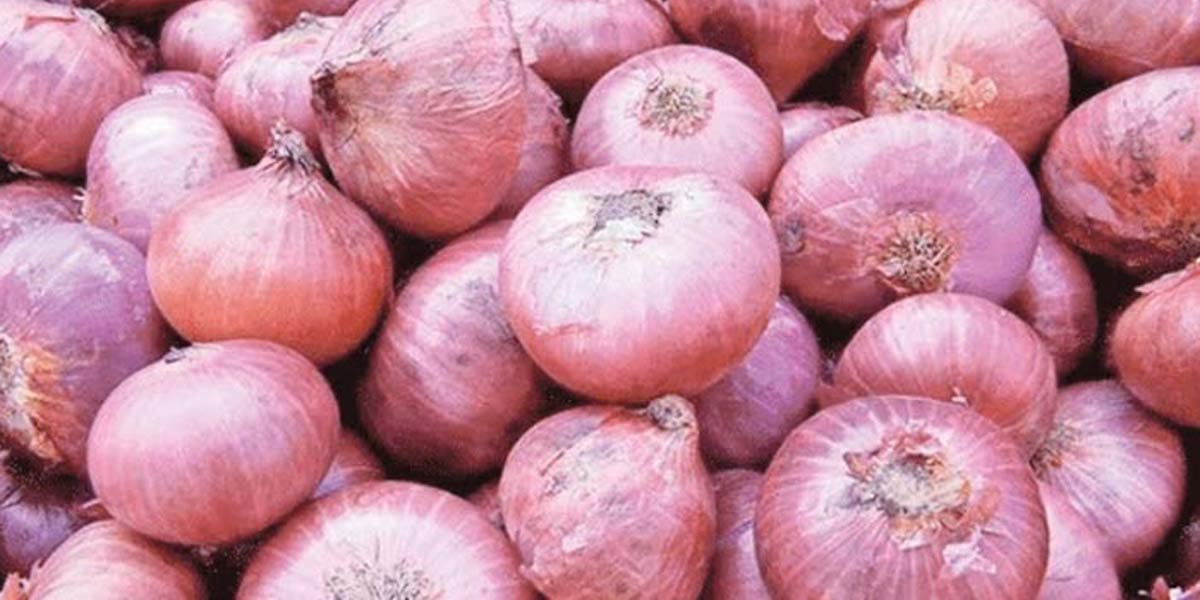 One lakh tonnes of onions are imported from abroad