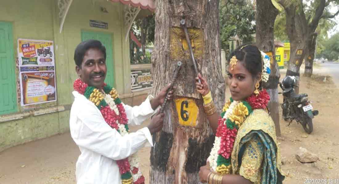 Newlywed couple remove nail in trees