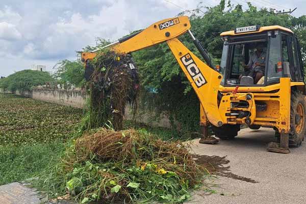 clearing lotus plant in drains is going on in full swing In Chidambaram