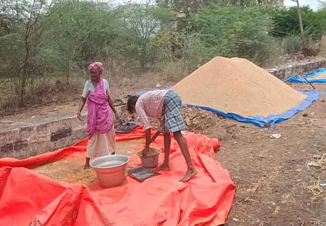 Thousands of paddy bundles damaged at heavy rains