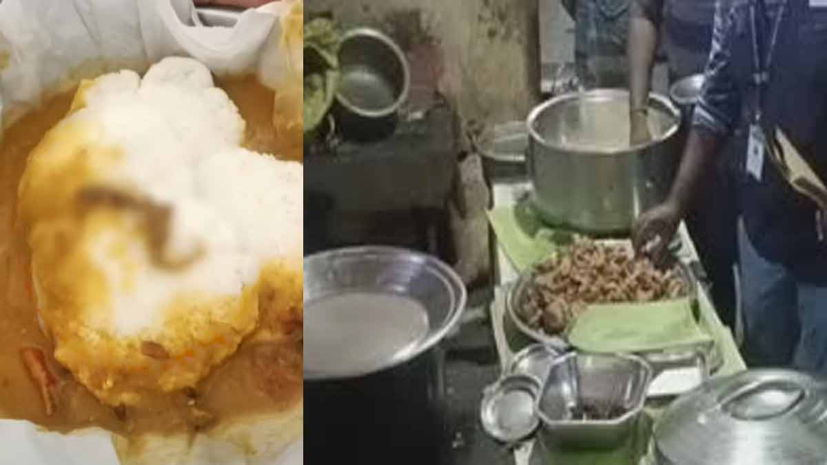 'Spirit Fly Lizard Sambar Idli'-Officials Raid