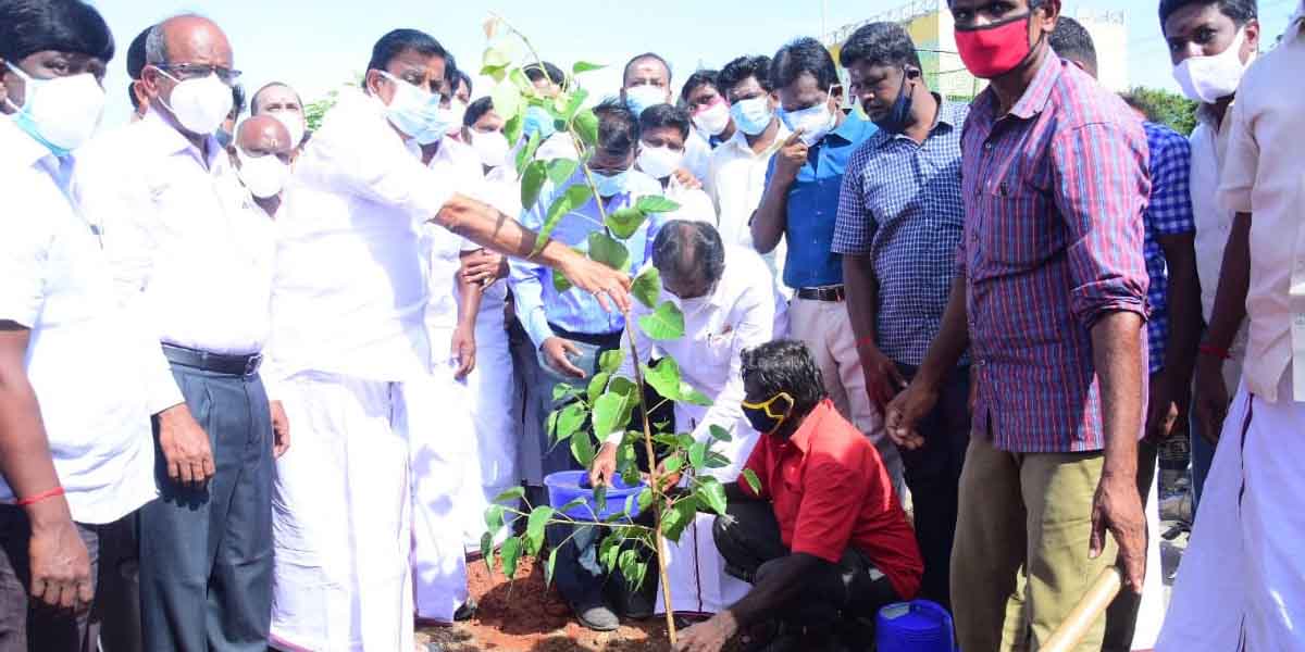 Minister KN Nehru inaugurated the planting of 25,000 saplings