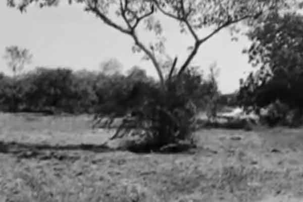 Virudhunagar dt sathur near guganparai factory incident