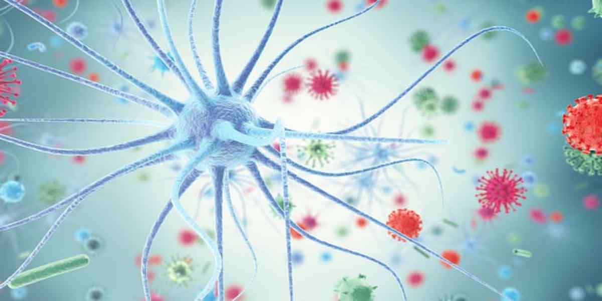 15 people infected with Sika virus in Kerala!