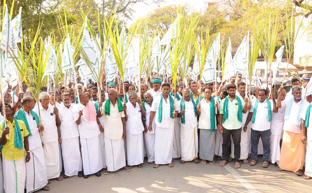 chennai egmore sugar cane farmers rate fixed issue