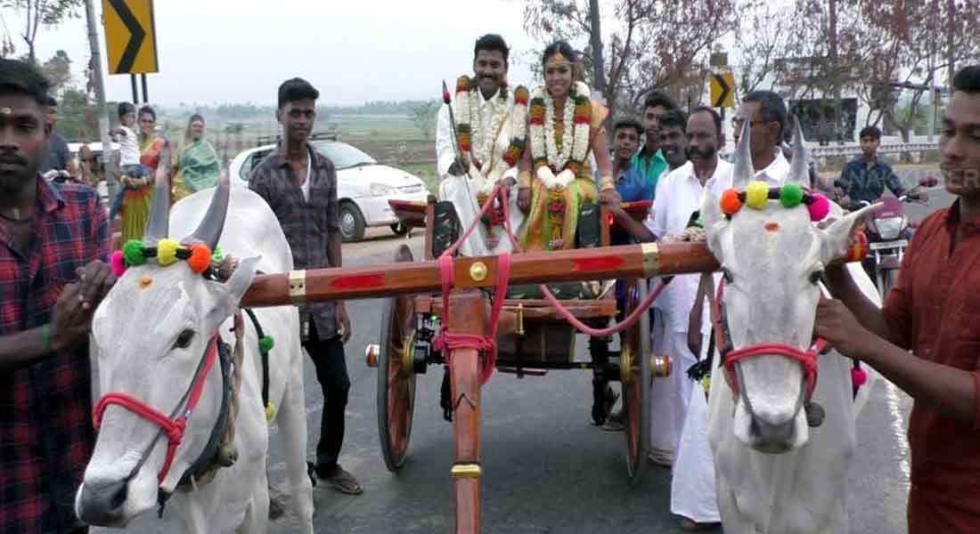 The culture of the couple is the unchanging 'cow-cart' journey
