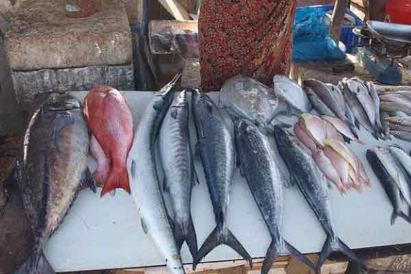 Corona spread; Business Welfare Association announces closure of fish market ..!
