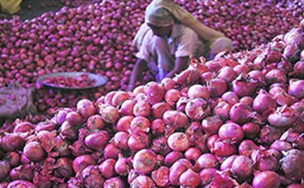 onion-price reduced in Koyambedu
