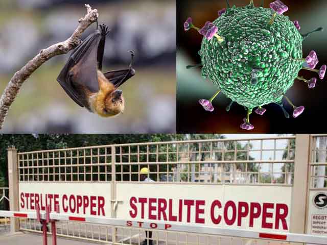 sterlite nipha