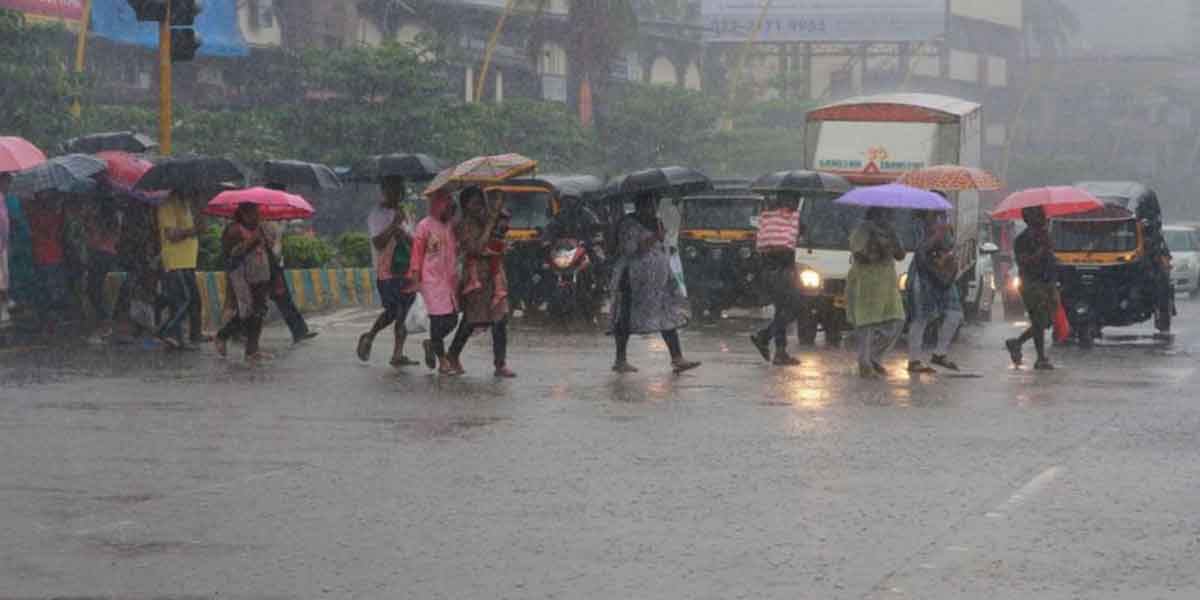 Chance of heavy rain in 4 districts!