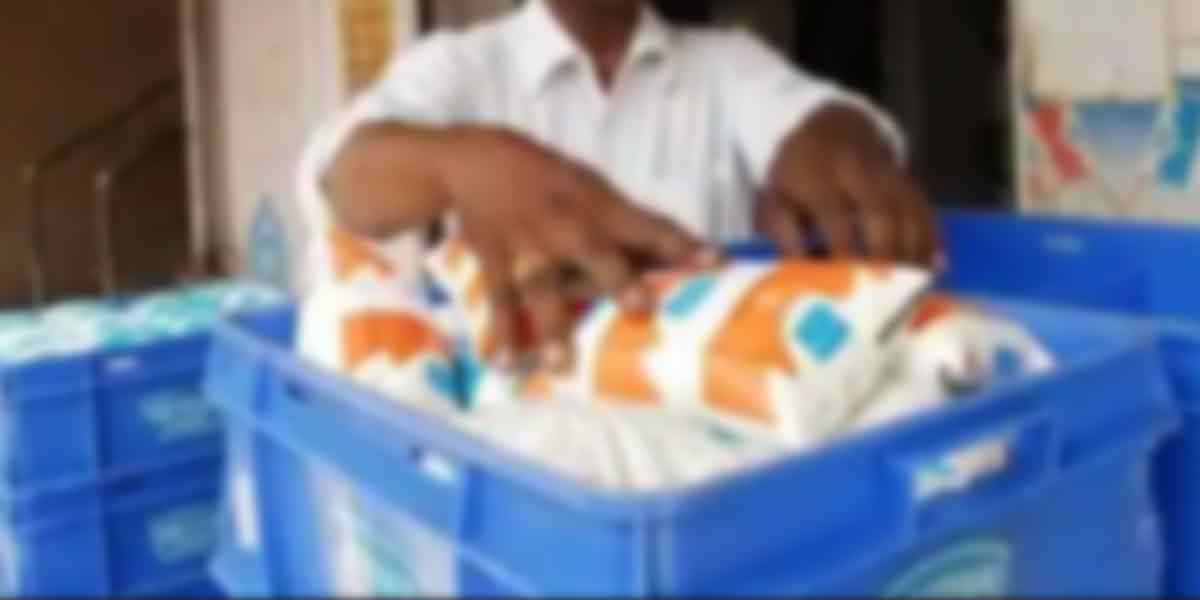 'Frog' in Avin's milk pocket?