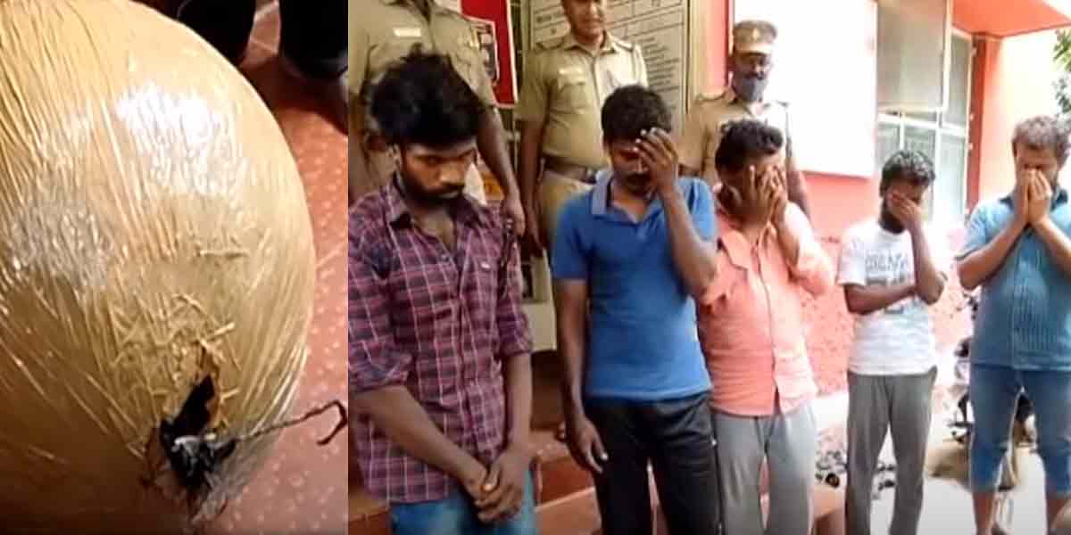 Iridium 5 arrested in Tanjore