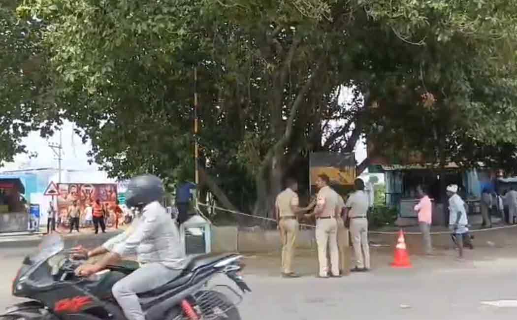 uprooted banyan tree that was to be cut for road widening and planted it elsewhere