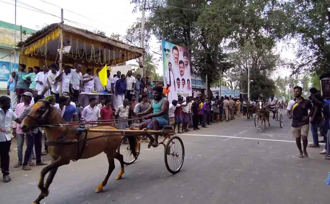 Manickam MLA who started the horse race at Kulithalai