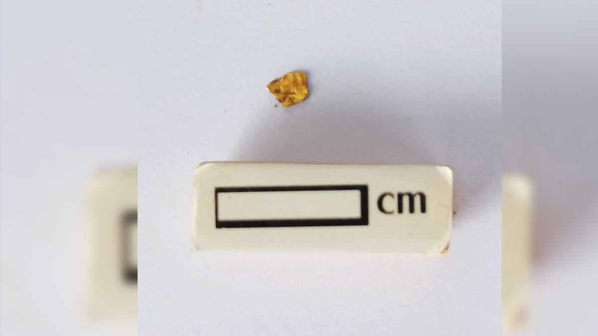 A bone-tipped tool, a gold ornament found at porpanaikottai