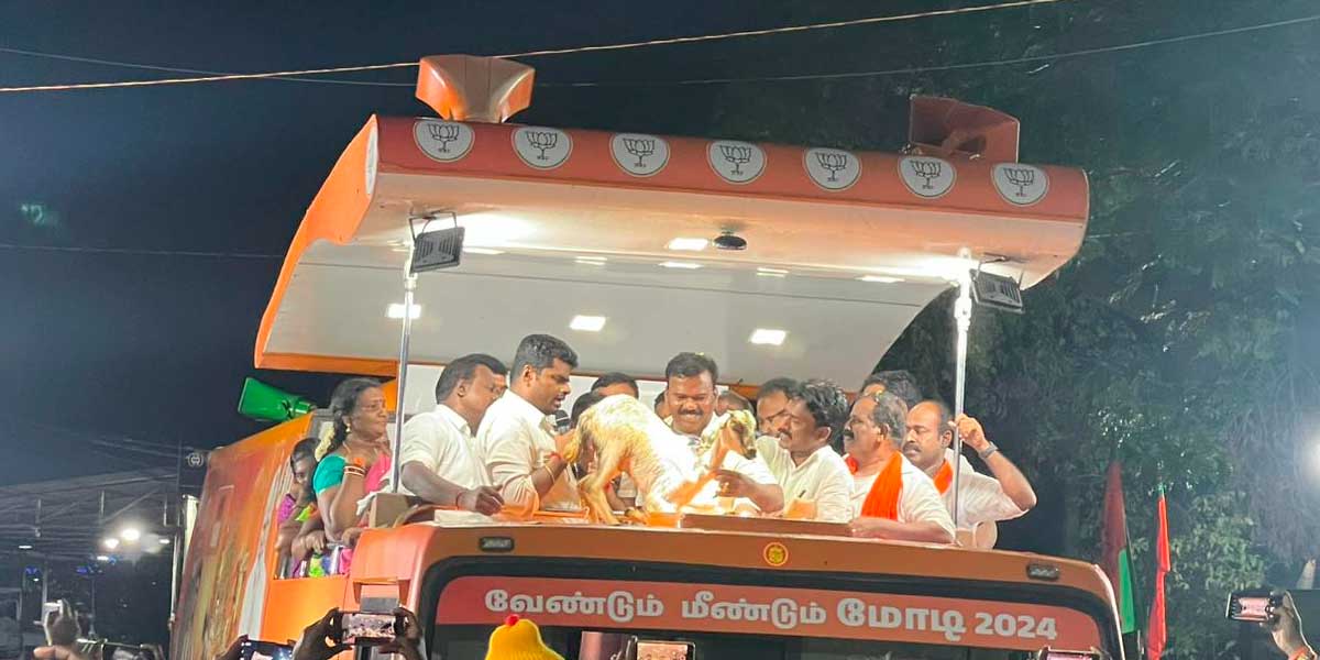 Annamalai asked if this goat will give birth to many kids