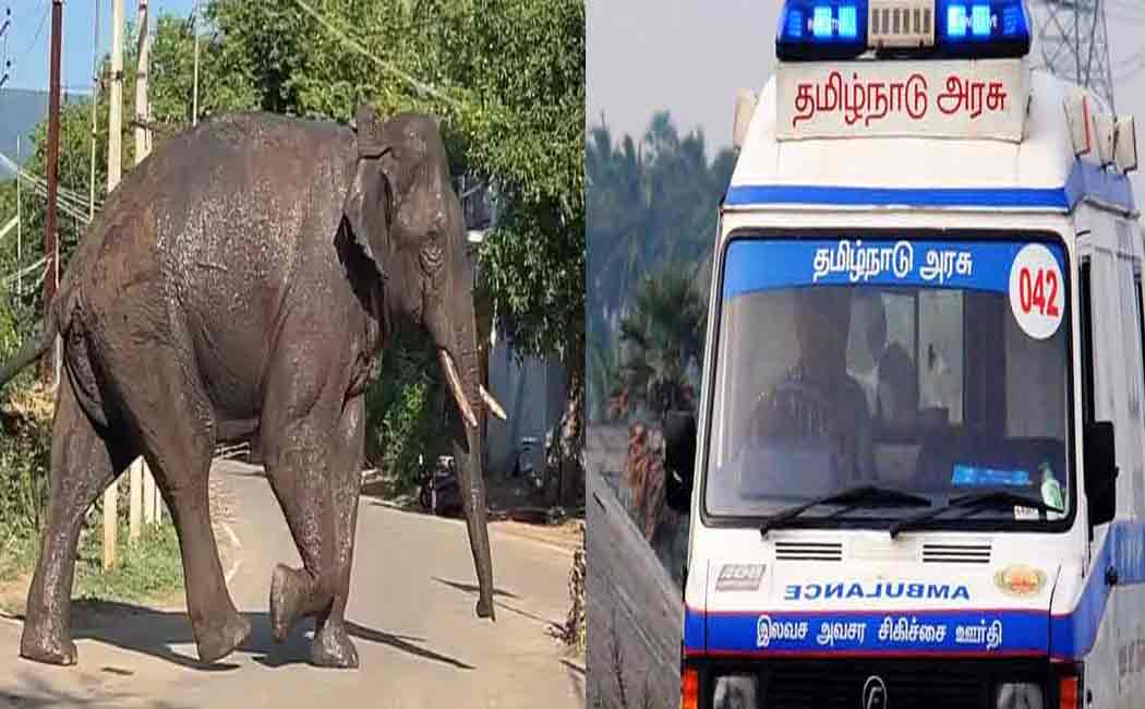 uncaught arisikomban; one person passed away