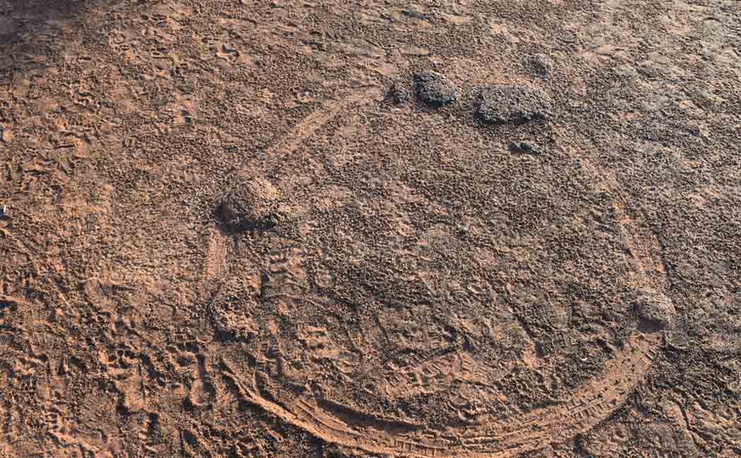 Discover the stone remains of the Paleolithic era