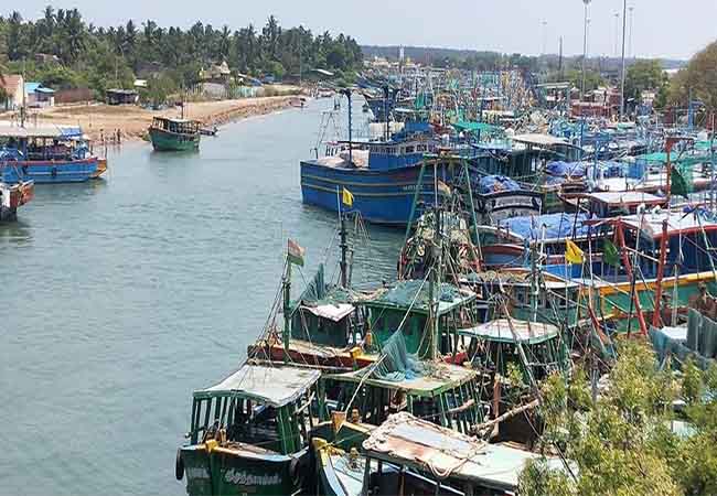 Fishing ban! Fish prices likely to rise