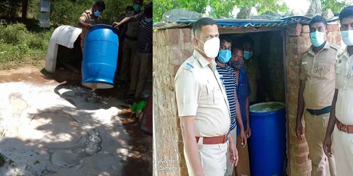 Lemongrass mixed in cash for more intoxication ... Breakdown of drug trafficking