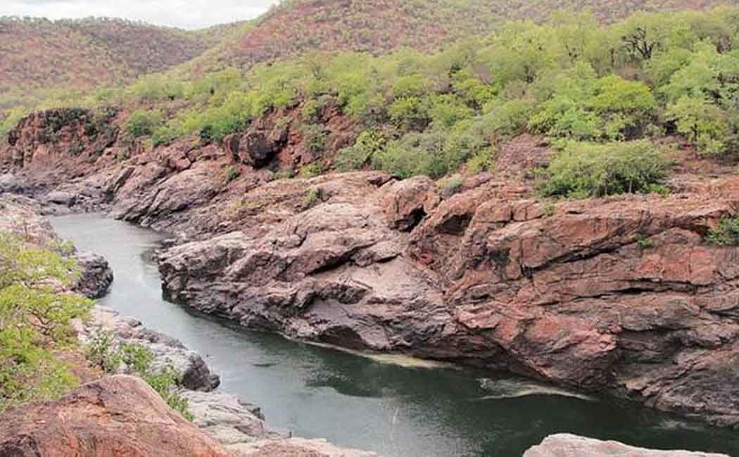 Tamil Nadu government should take immediate action on three demands- Cauvery Rights Redemption Committee demand