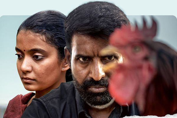 Kottukkaali ott update