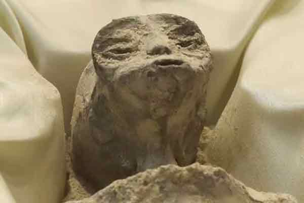 Shocking information released is 1000 year old Aliens bodies?