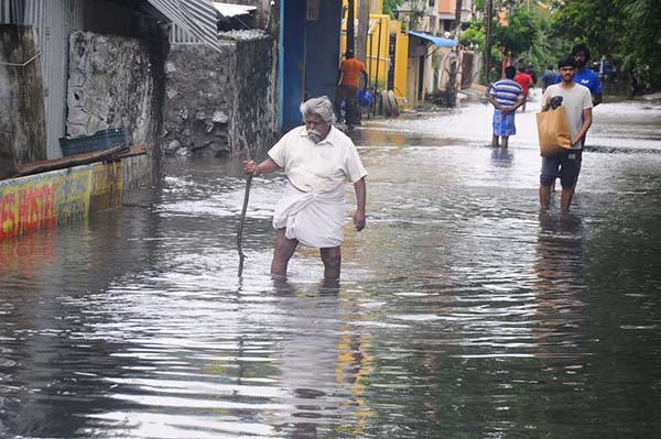 chennai Velachery -