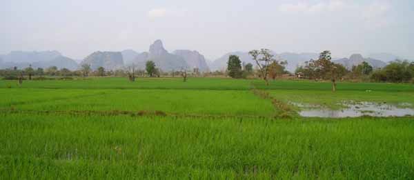 agriculture